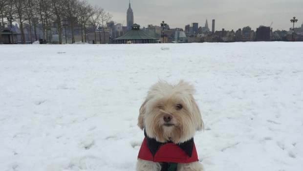 STAY FROSTY: Hoboken Cold Weather Survival Guide