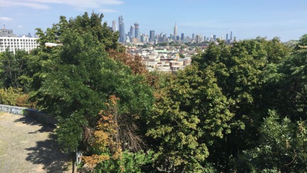 hOMES: Weekly Insight Into Hoboken & Jersey City Real Estate Trends | September 21, 2018