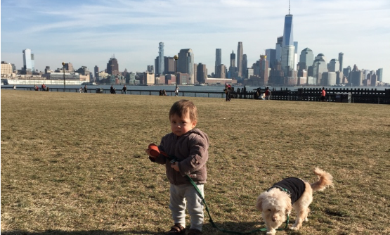 RUFF CROWD: Responding to Complaints, Hoboken Police Issue Tickets for Dogs on Grass