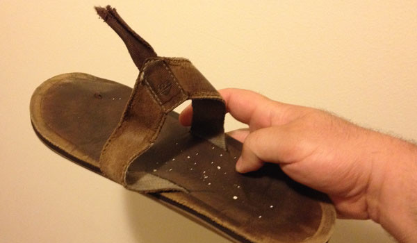 Broken Flip-Flop Convinces Shell of a Man to Concede His Youth and Purchase Ridiculous Sandals