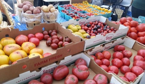 EVERY TUESDAY: Hoboken Downtown Farmers’ Market is Open — Now Through November