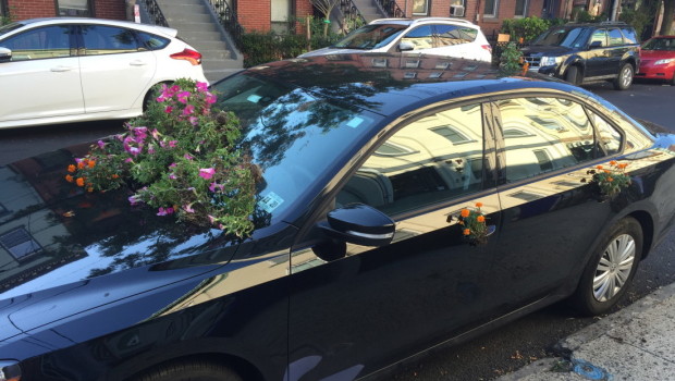UPDATED: Flowers on Bloomfield Street Trashed by Vandals