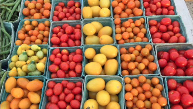 IN THE GARDEN OF EATING: Hoboken Farmers Market Moves to 5th & Garden Sts—EVERY TUESDAY