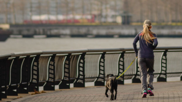 PETS & THEIR PEOPLE 5K RUN/WALK: Benefit for St. Francis Hoboken’s Father Michael Food Pantry — SATURDAY, OCTOBER 6th @ PIER A