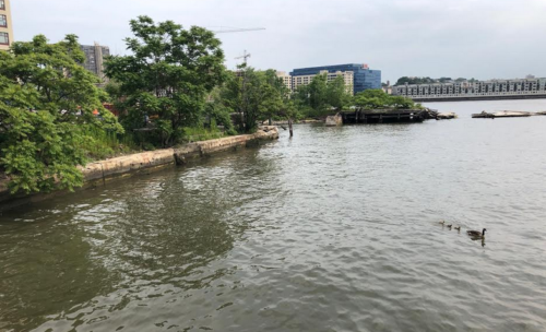 UNANIMOUS: Hoboken Lines Up Behind Waterfront Initiatives at Monarch Project & Union Dry Dock